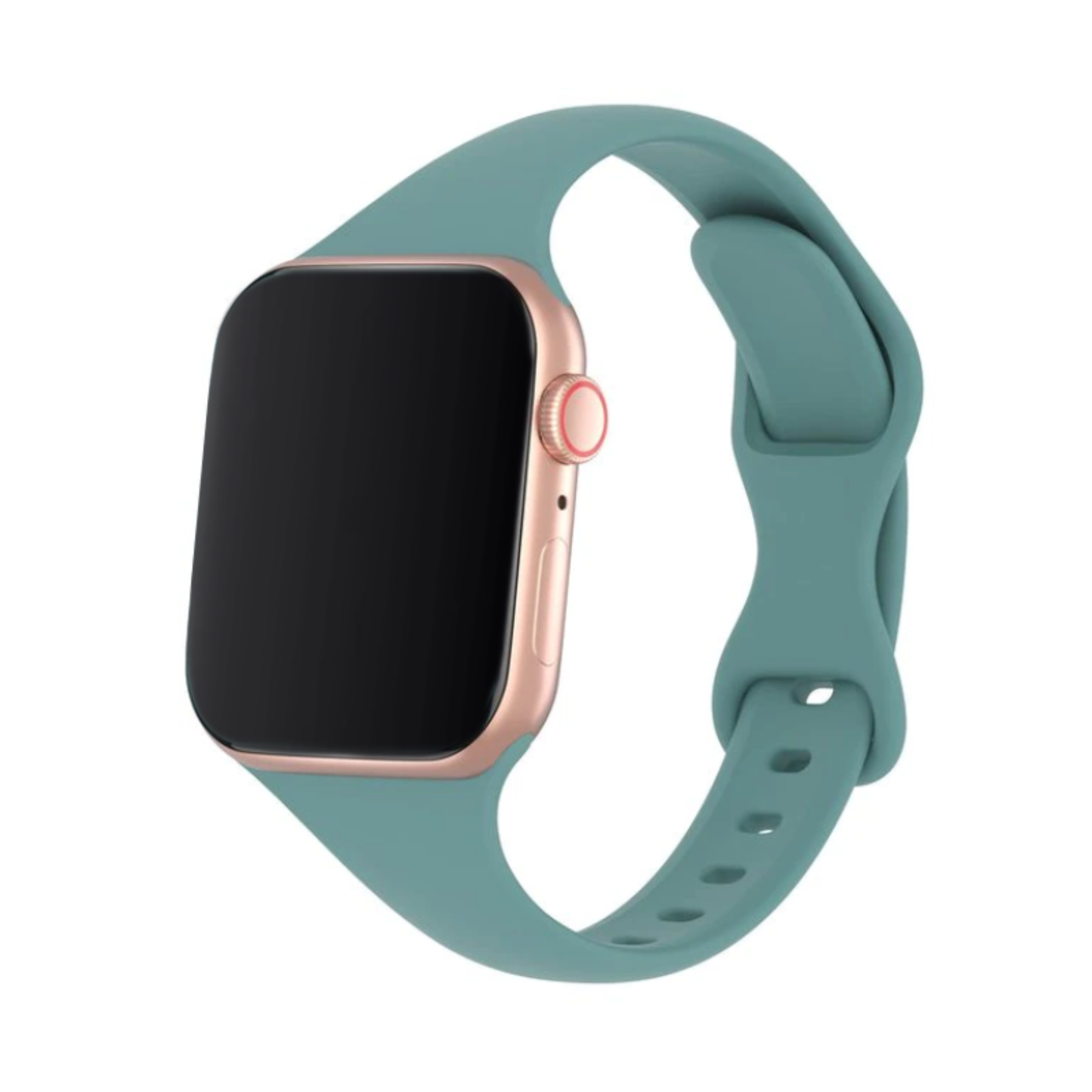 حلقه دلفینا